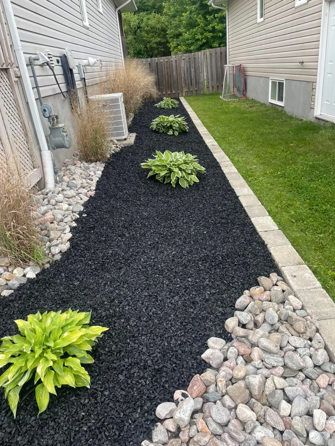 Side-yard landscape with rubber mulch path threading between two North Bay homes, dwarf plantings along the edge.
