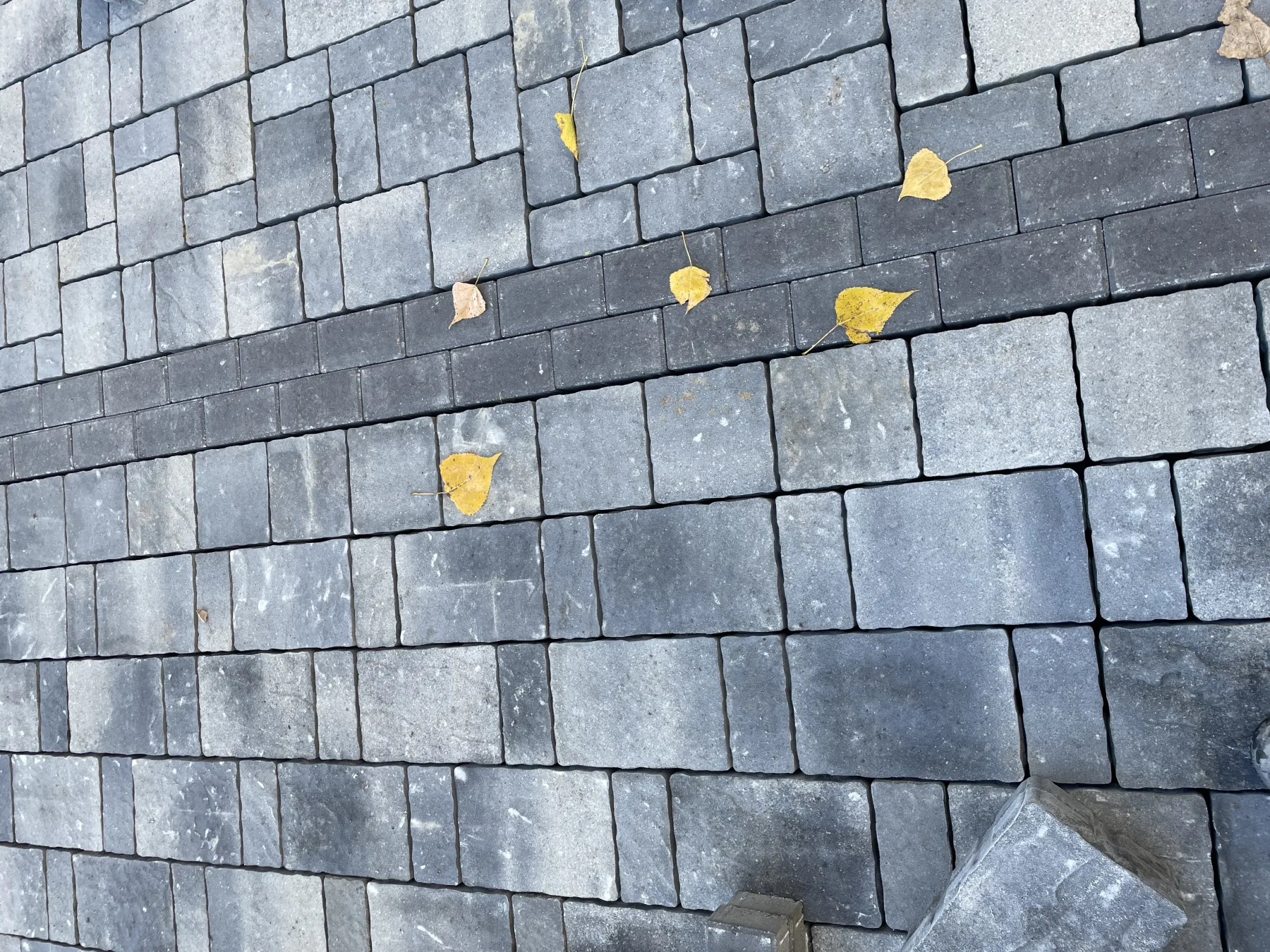 Detail of a hand-laid paver field mixing Permacon Trafulgar and Browns Nordic pavers in a banded pattern, with autumn leaves scattered across the finished surface on a Bouwers Design Landscaping patio in North Bay.